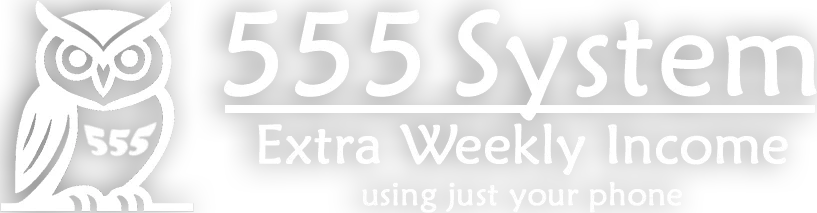 555system Logo